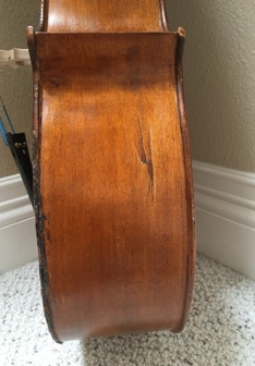 Cello Close-up Left lower showing old back side supported injury.