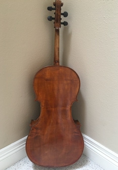 Top to bottom back side of cello