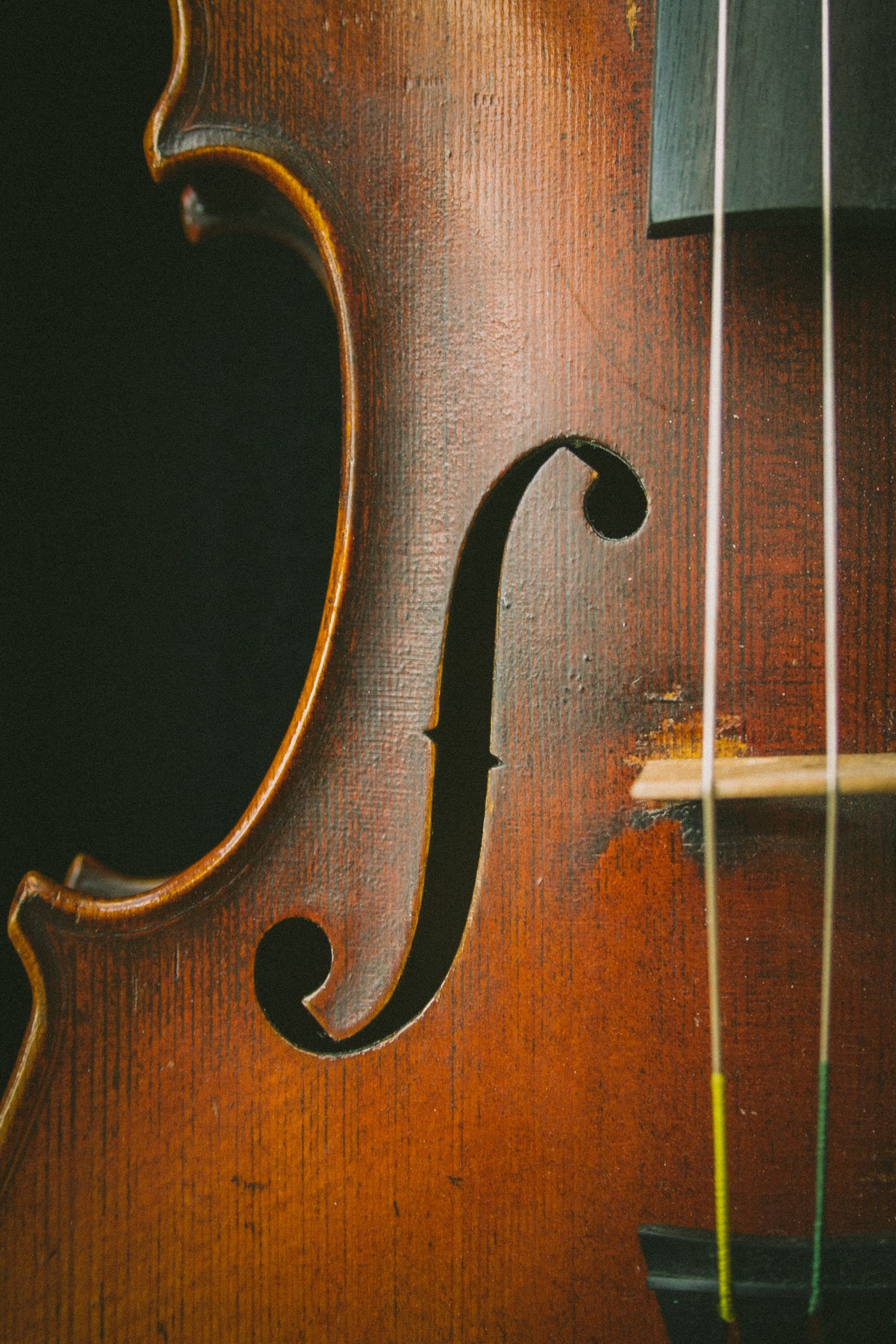 Cello, Strrings, Bridge, Fretboard, Tail piece